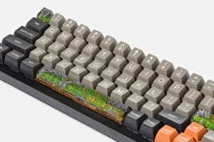 Bornofforest87