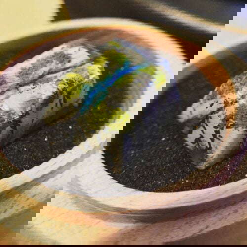Dubg0q5vwaezy5e