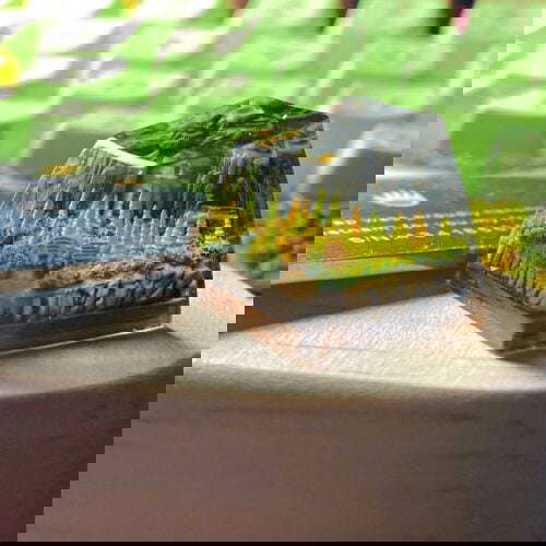 Etfkn14xiaqazvc