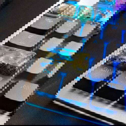 Img 20190319 134056