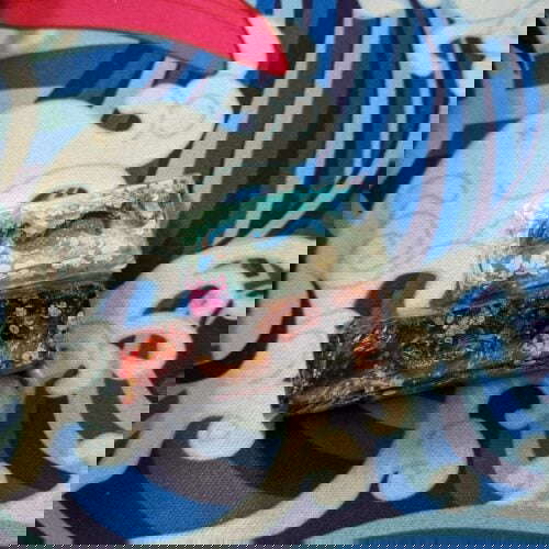 Img 20191203 141925