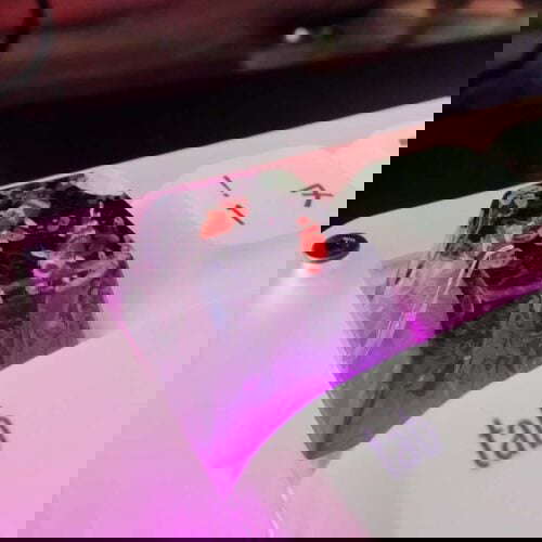 img 20211218 125738