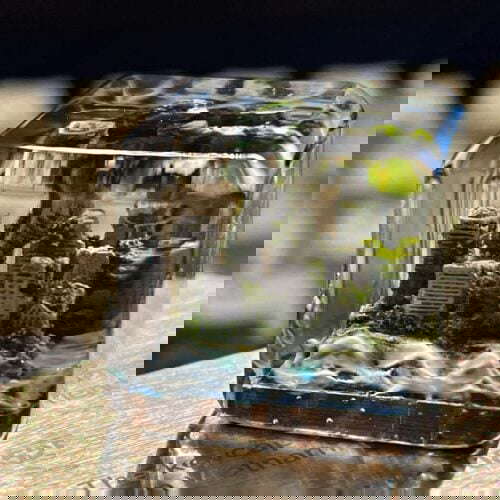 img 8915
