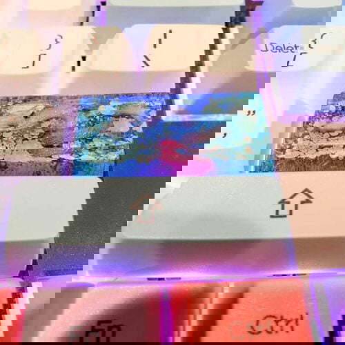 Fobg4fwdakv31
