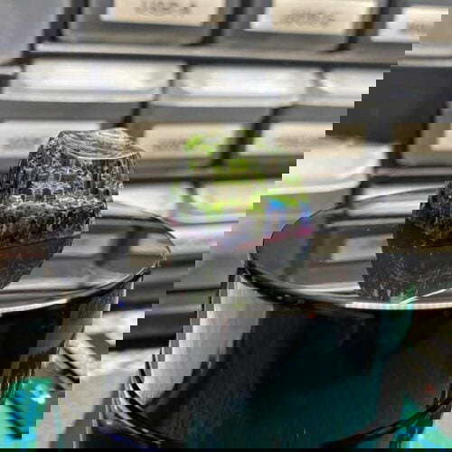 Image1
