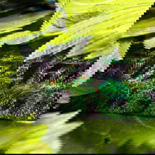 Nbnrjwo1kgd61