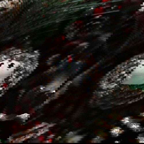 Nmldcqgvsb501