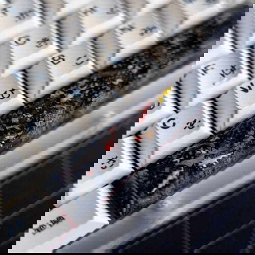 ob1 kb 209228196 329874115284695 1526926078614887956 n