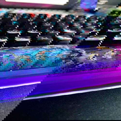 P3fcr82bsuo41