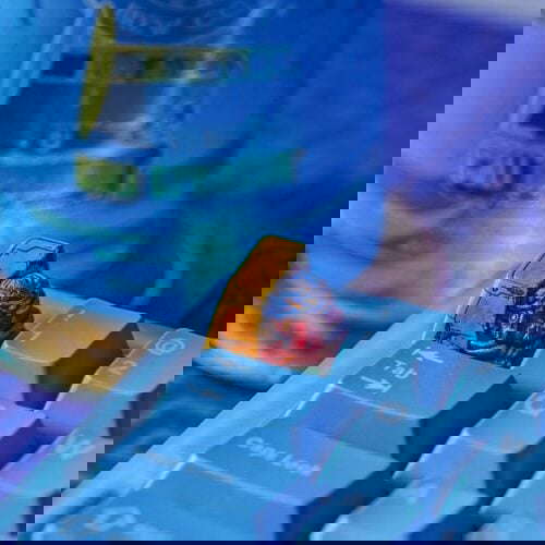 type.on3 241960920 381257043505192 7776374997609764505 n